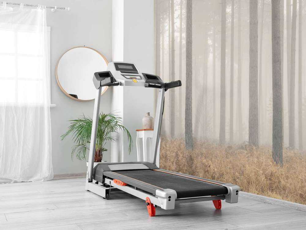 Forêt brumeuse mystérieuse