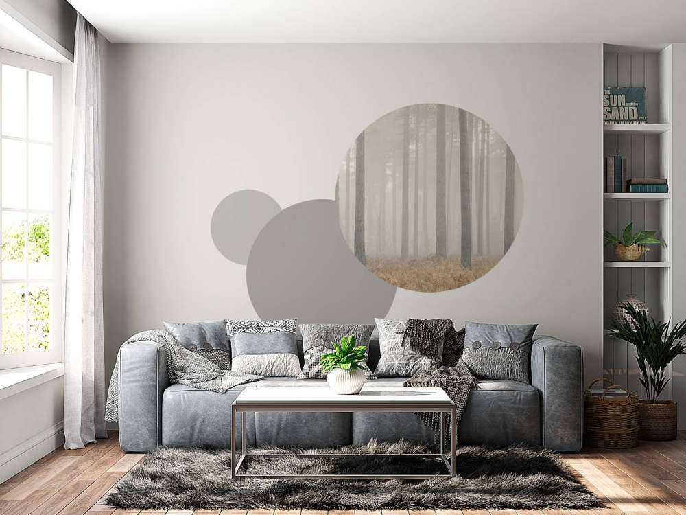 Forêt brumeuse mystérieuse