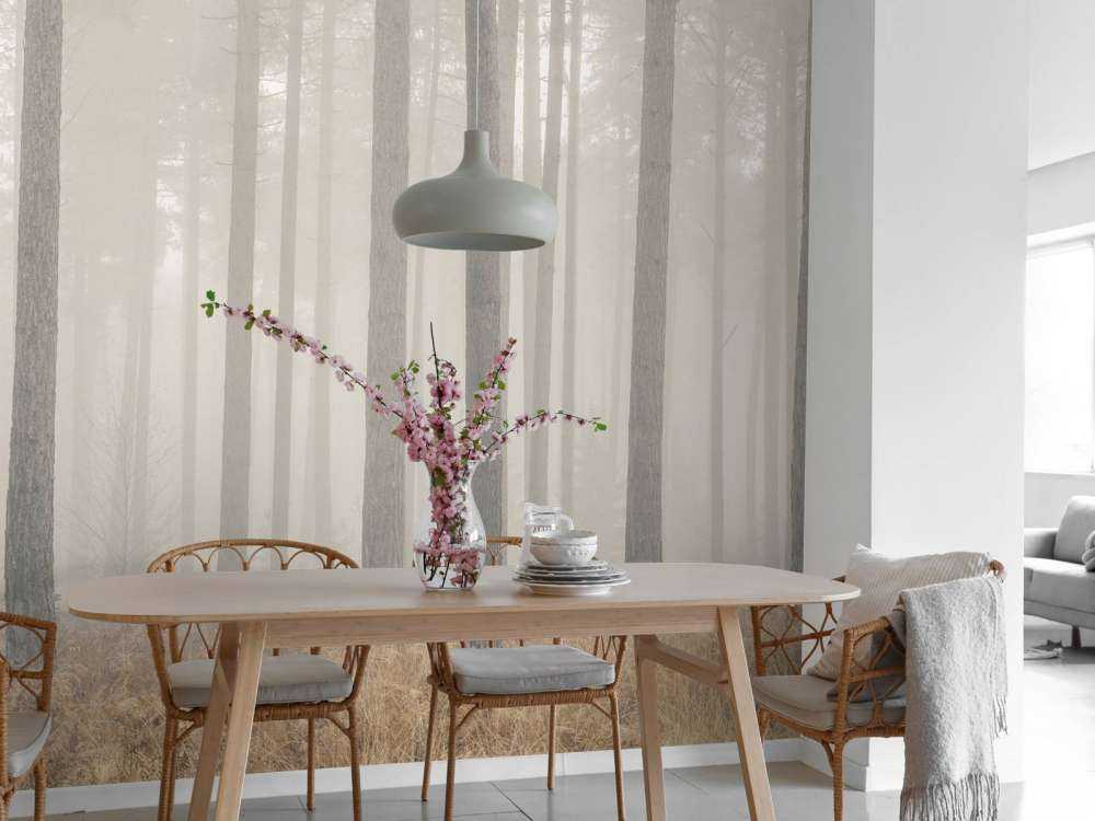 Forêt brumeuse mystérieuse