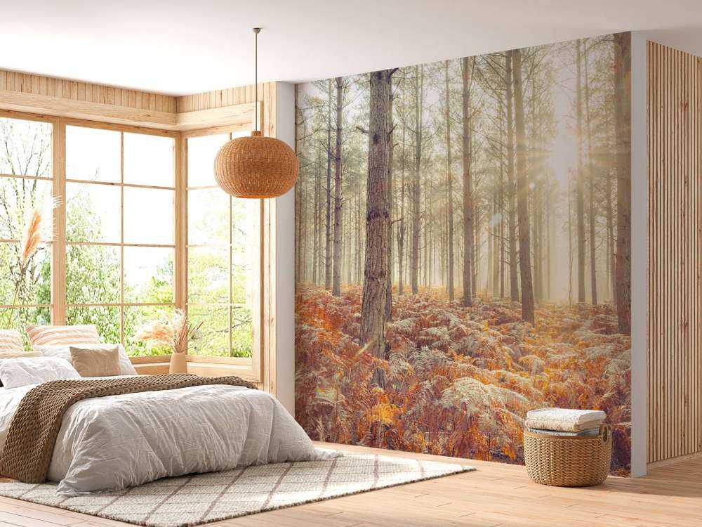 Rayons de soleil à travers des arbres froids