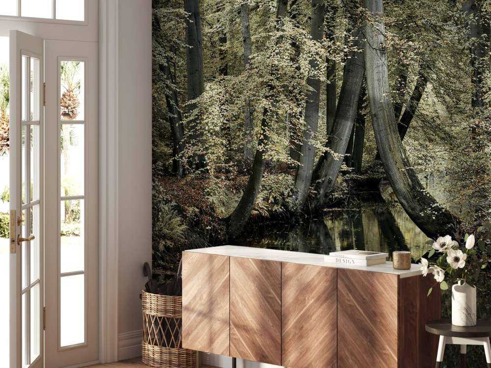 Ruisseau avec des arbres suspendus