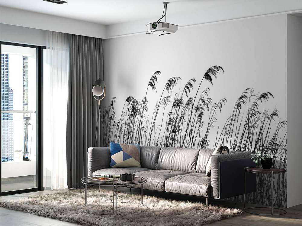 Roseau au bord de l'eau en noir et blanc