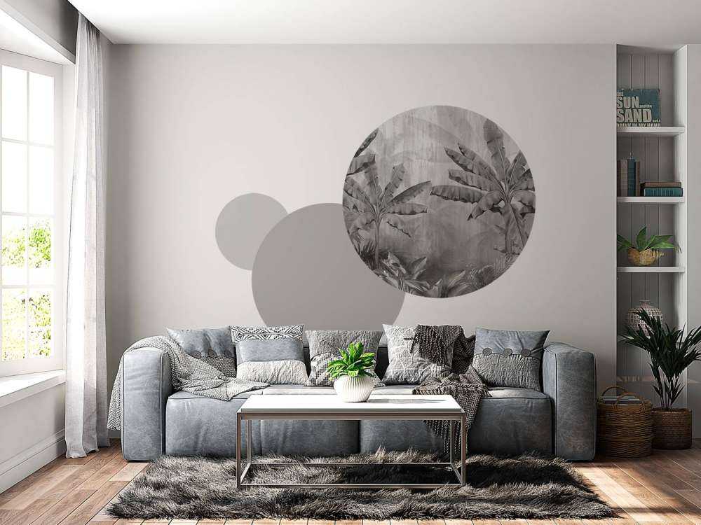 Palmiers de brouillard tropicaux