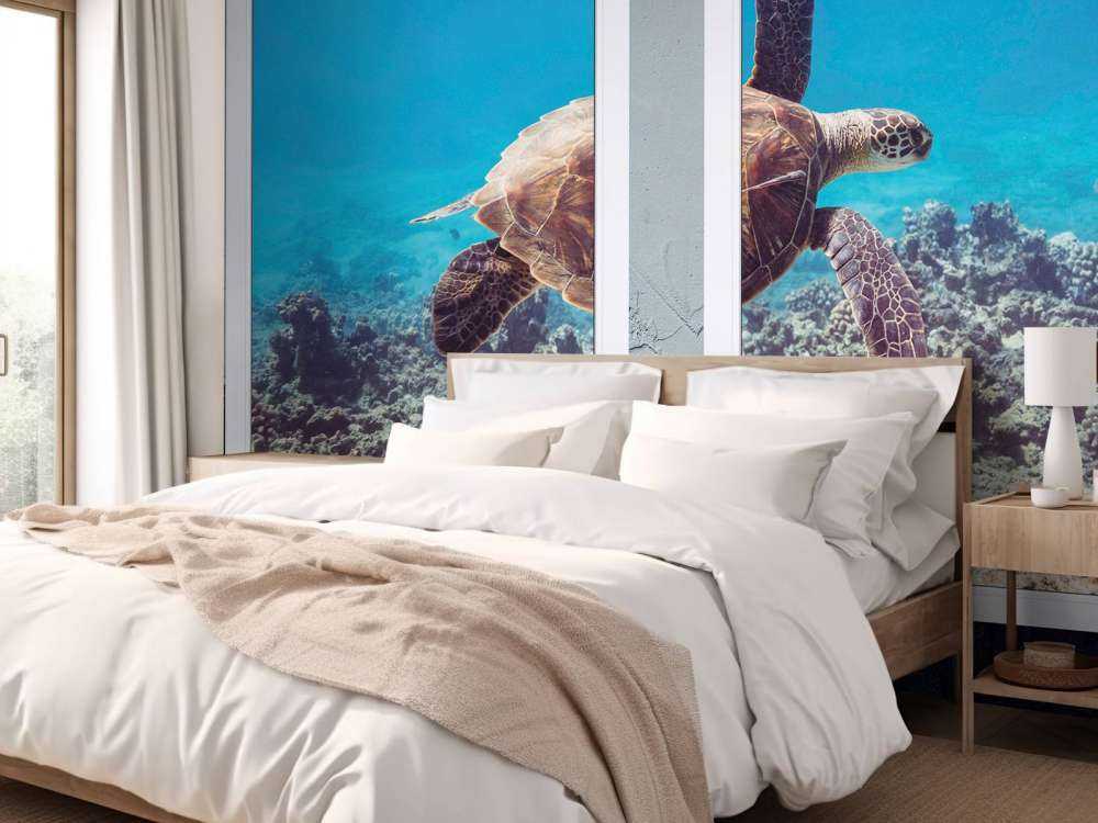 Tortue de mer au-dessus du récif corallien