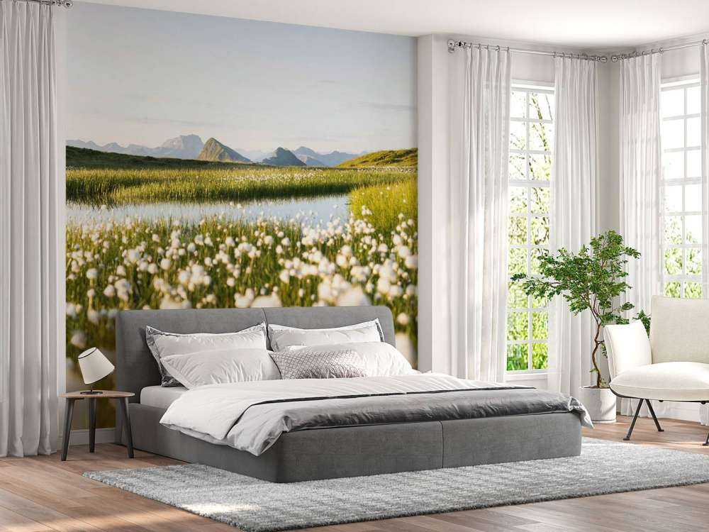 Lumière estivale sur un paysage tourbeux fleuri