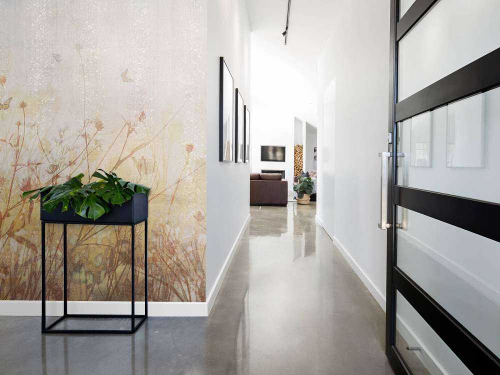 Prairie d'été avec des papillons