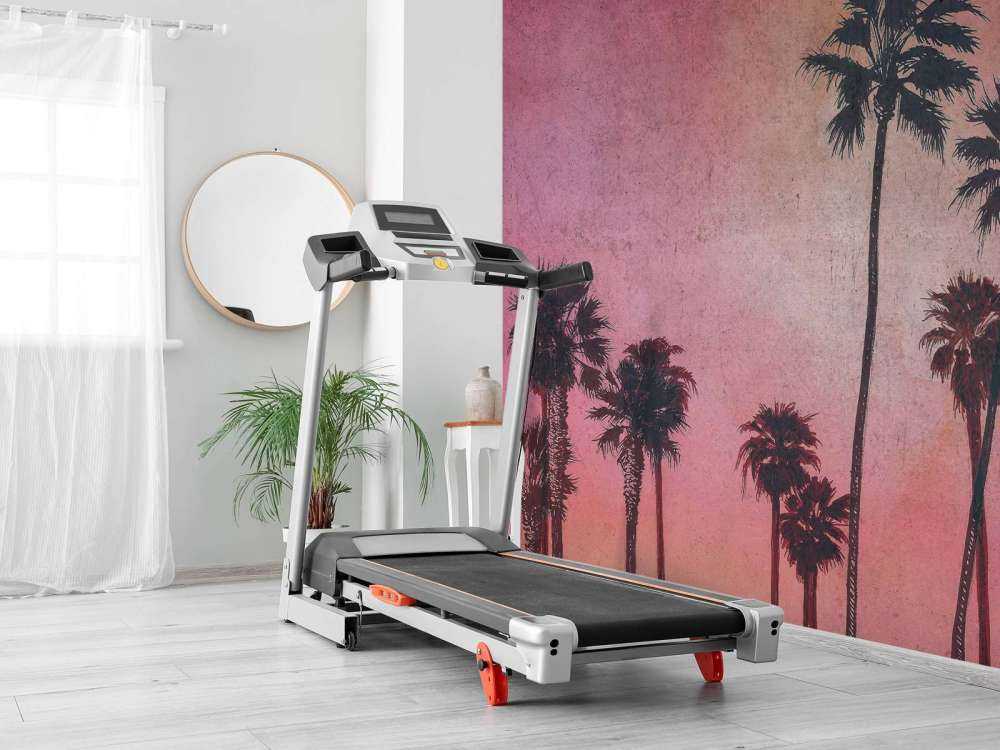 Palmiers dans la lueur rose du soir