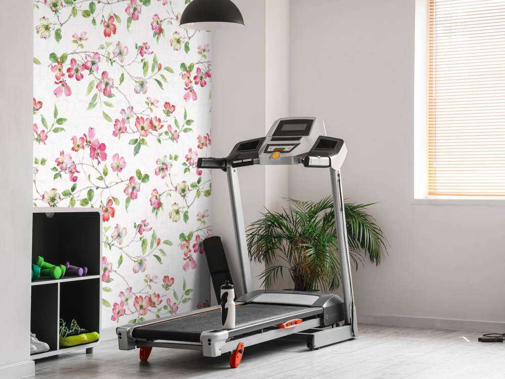 Jardin de Cornouiller Étape 01