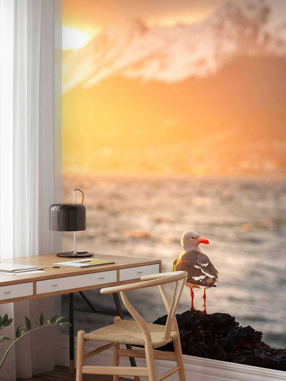 Mouette au coucher du soleil au fjord