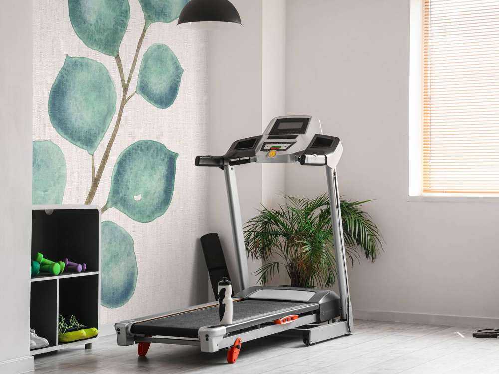 Eucalyptus en aquarelle douce