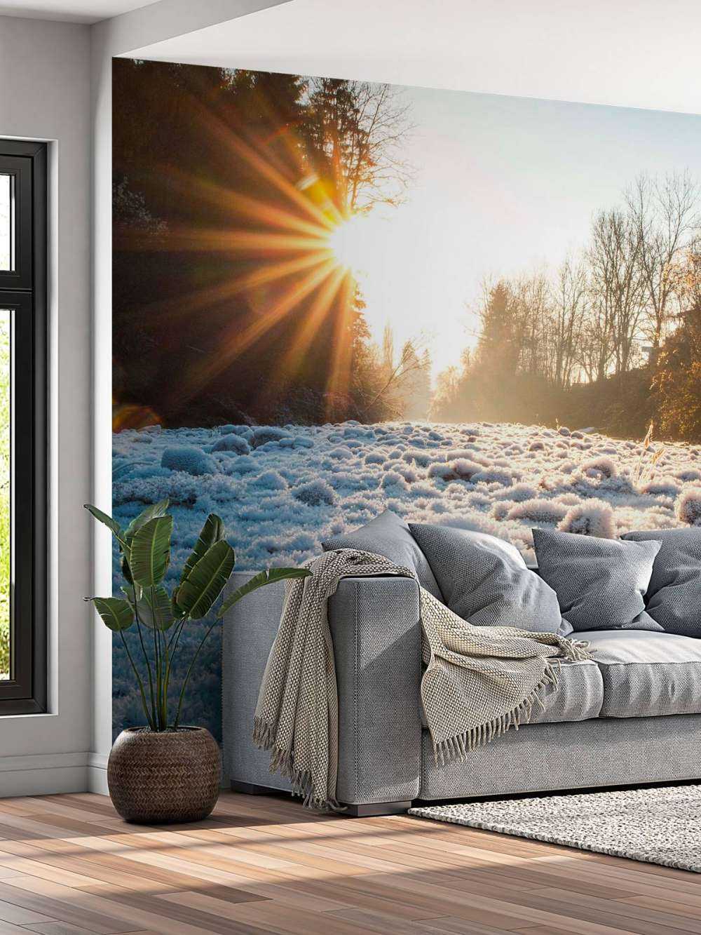 Matin glacial dans la forêt d'hiver