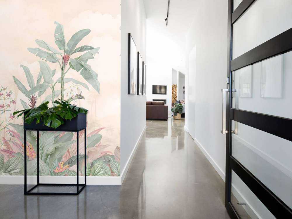 Colibris sous un ciel de nuages doux