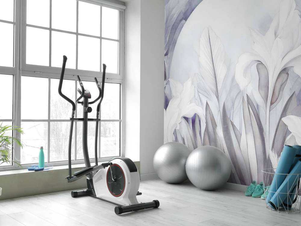 Iris au lever du soleil violet