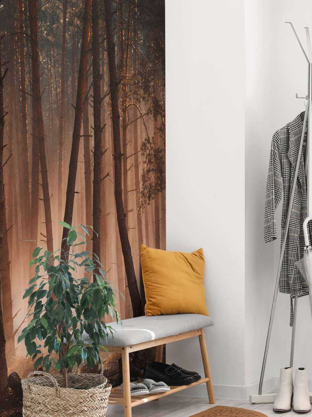 Transition des Saisons