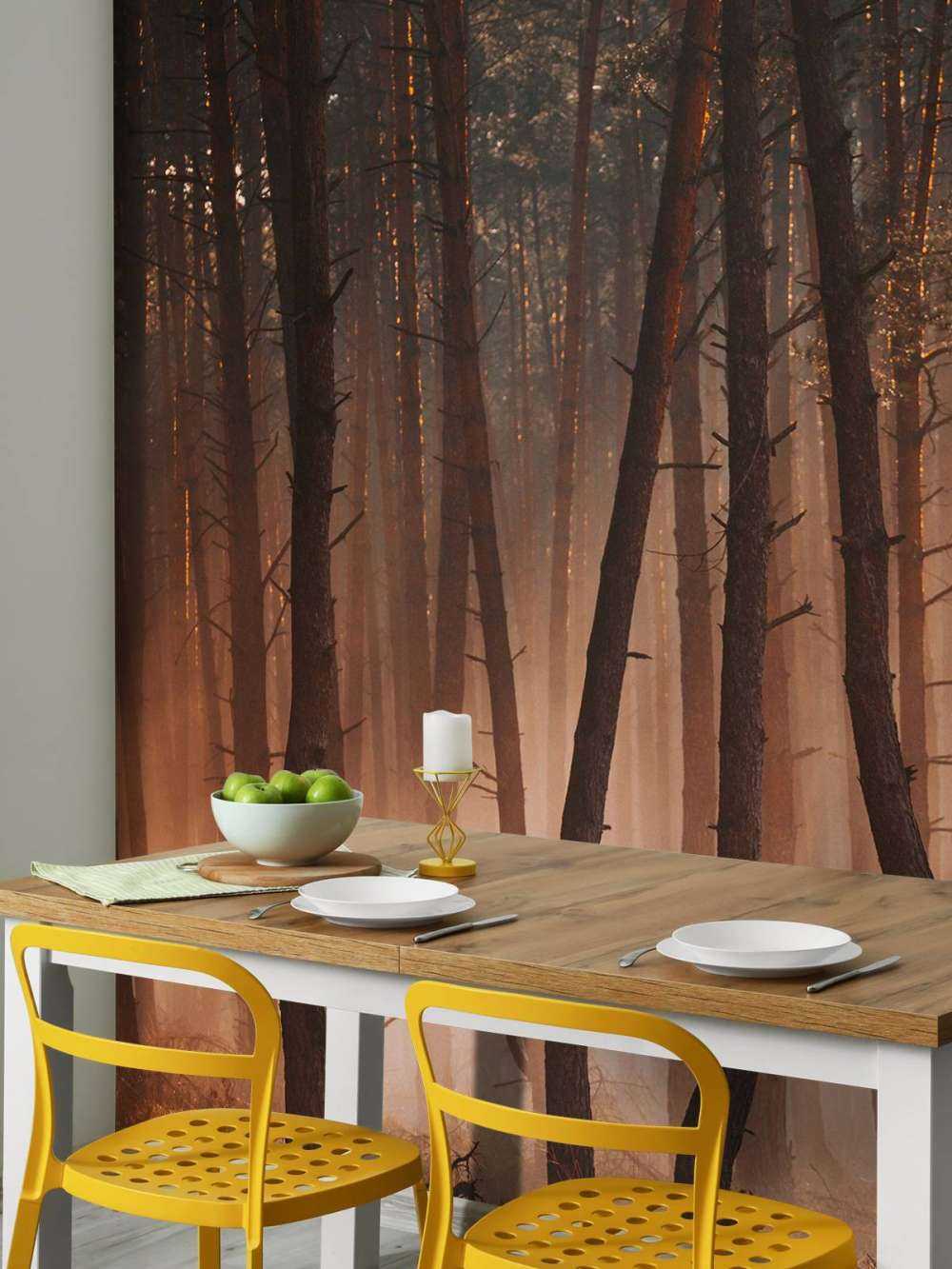 Transition des Saisons