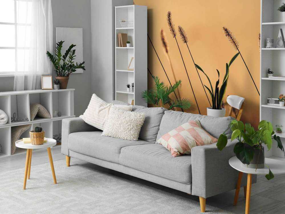 Herbe Murmurante dans le Soleil du Matin