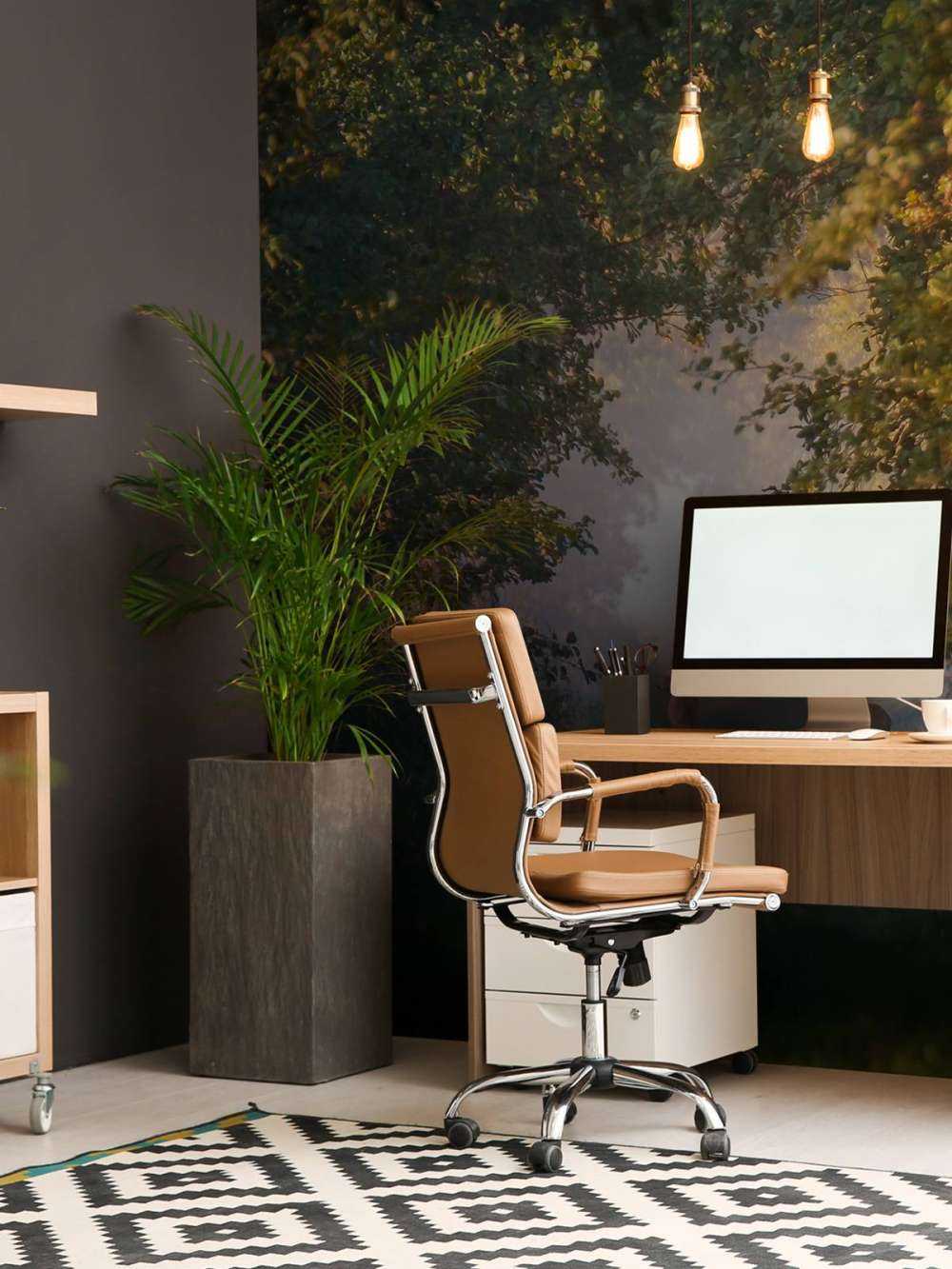 Animaux sauvages dans la lumière du matin