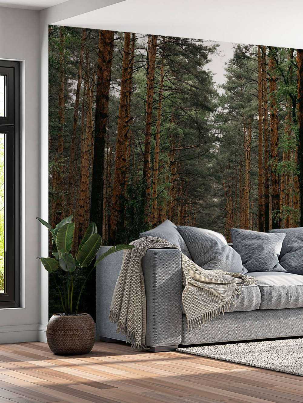 Symétrie de la Forêt