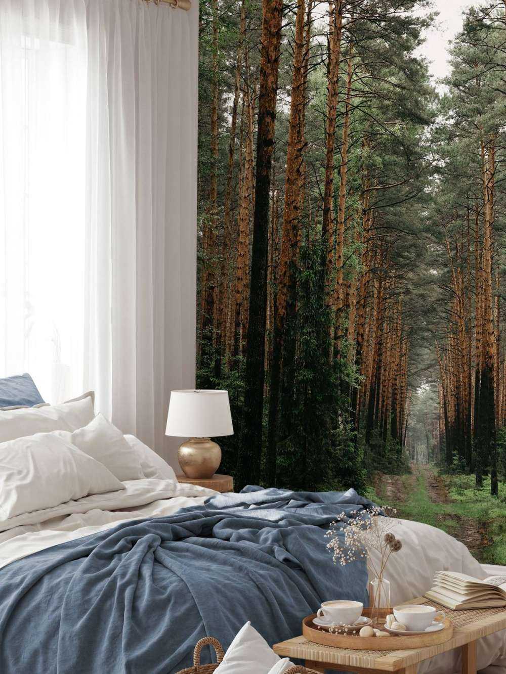 Symétrie de la Forêt