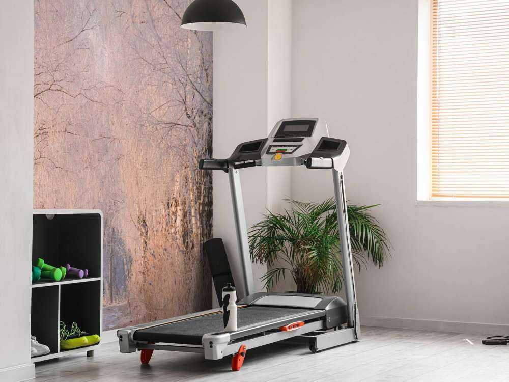 Bomenrij dans la brume d'hiver