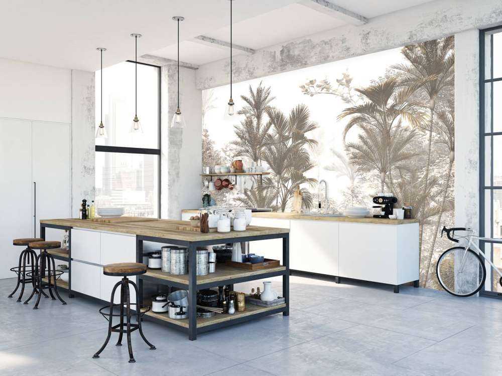 Lumière Solaire à travers les Palmiers