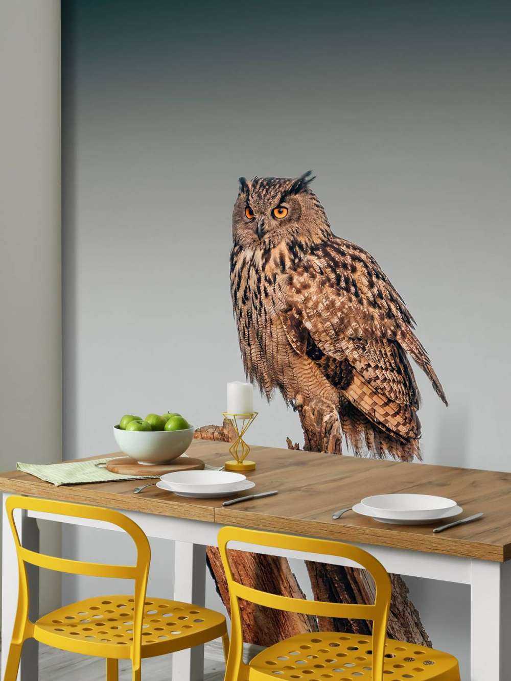 Hibou grand-duc