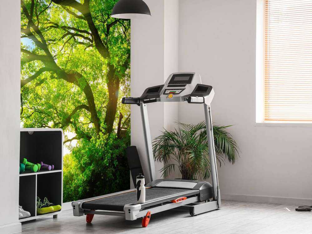 Arbre à rayons de soleil