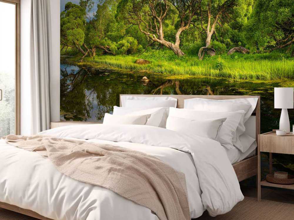 Arbres au bord d'un lac