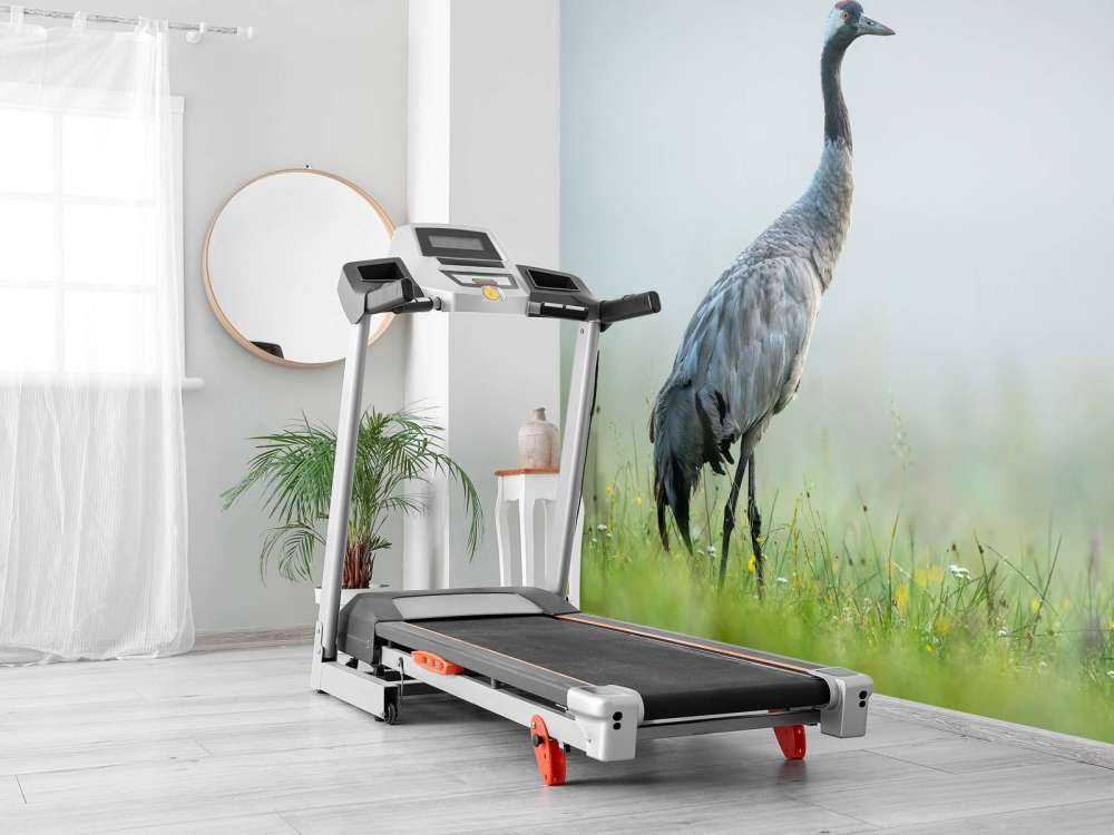 Grue dans la brume du matin