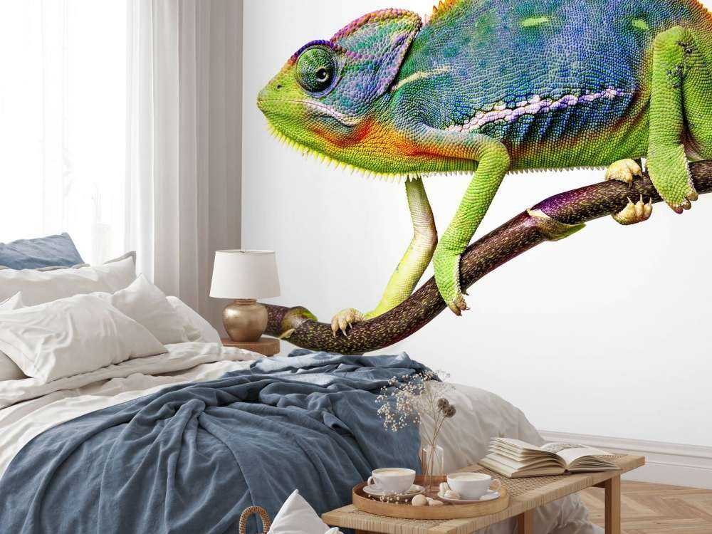 Caméléon