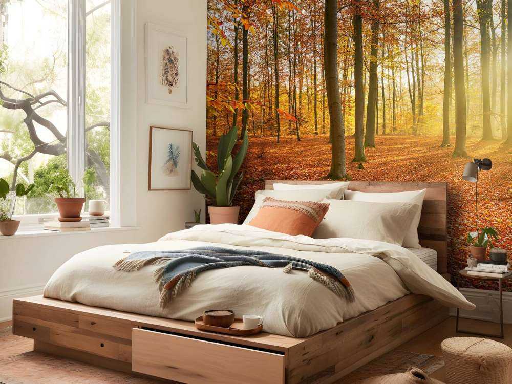 Matin d'automne dans la forêt