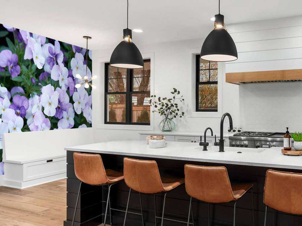 Violettes blanches pourpres