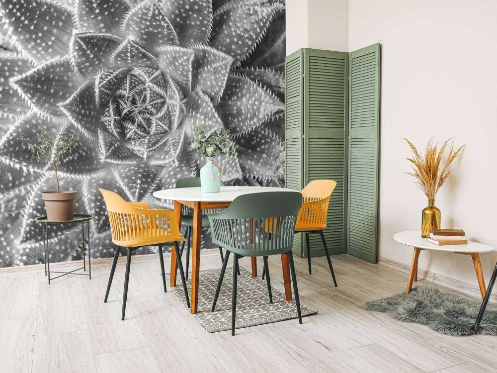 Succulente en noir et blanc