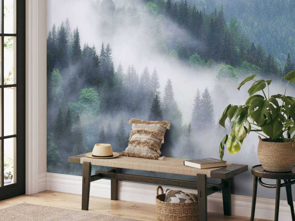 Forêt brumeuse dans les montagnes