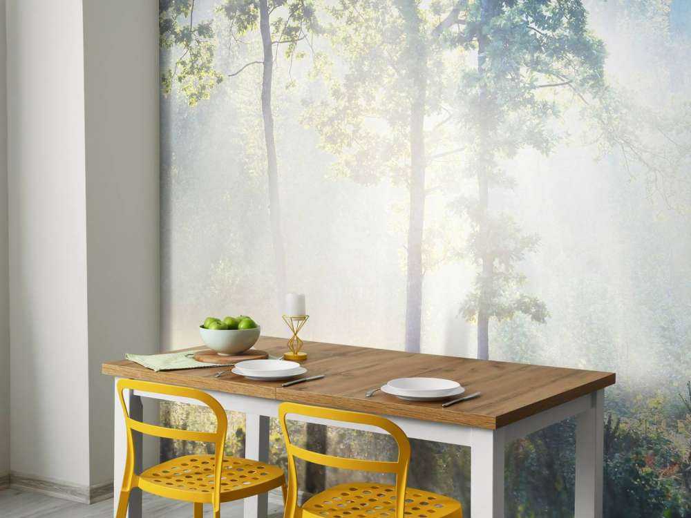 Une forêt mystérieuse