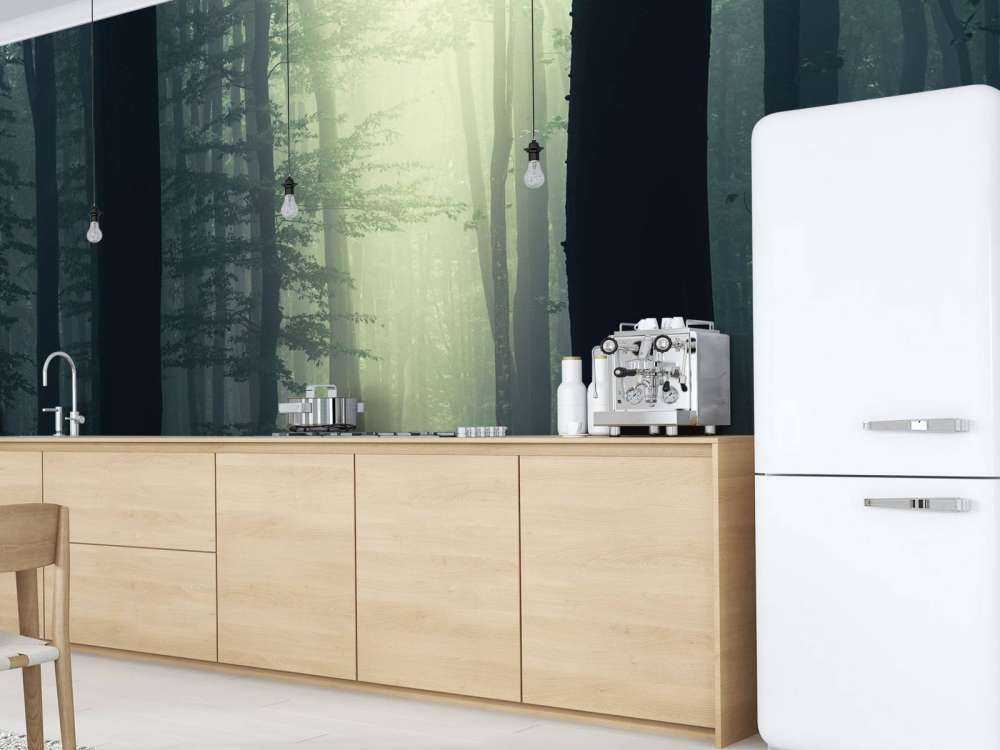 Rayon de soleil dans la forêt