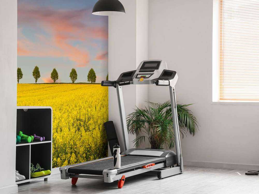 Champ plein de fleurs jaunes