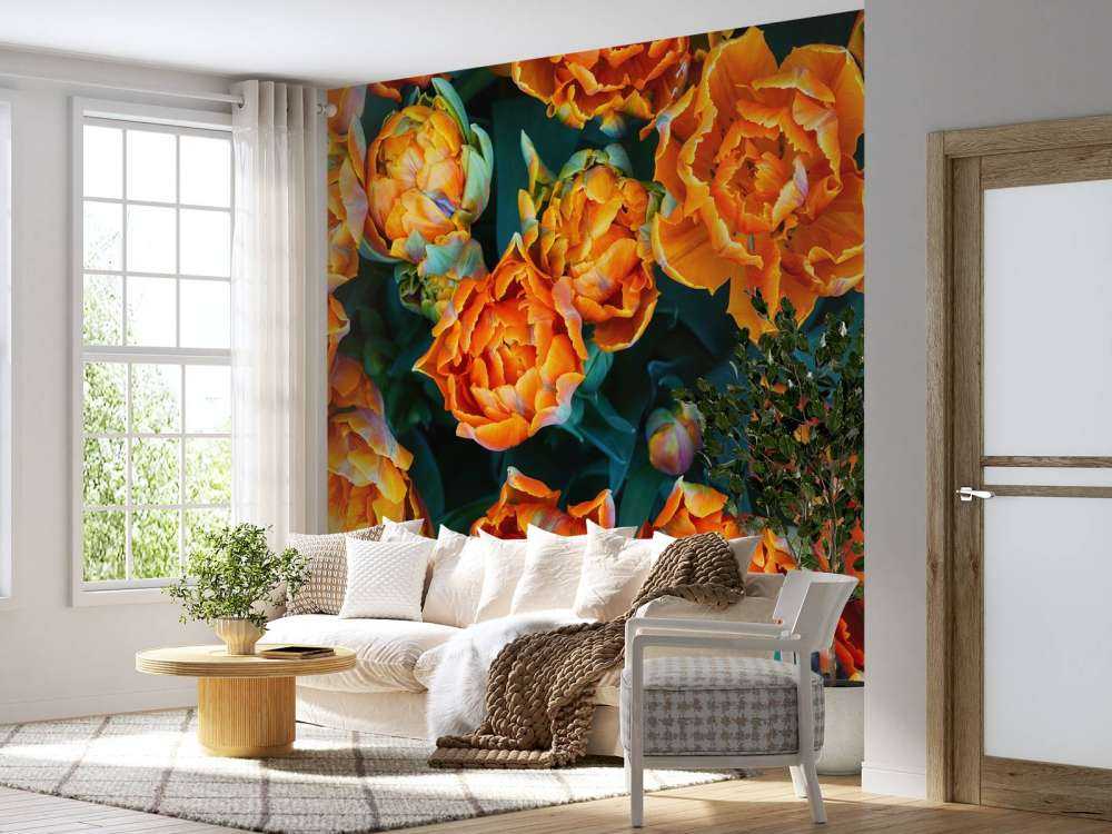 Gros plan sur des tulipes orange