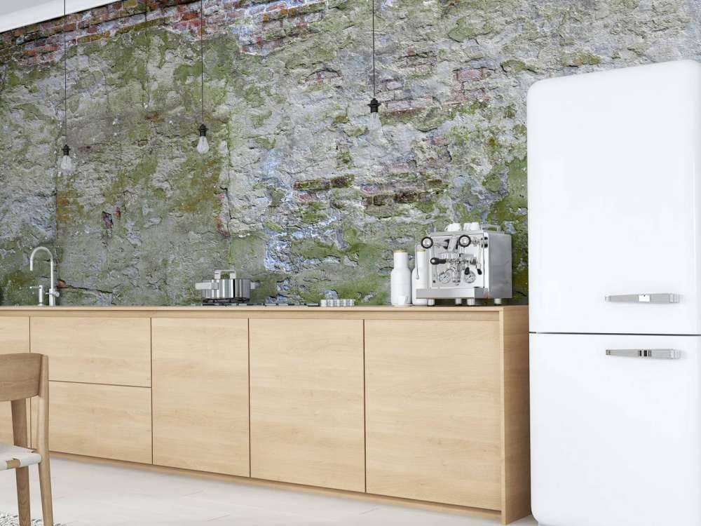 Mousse sur un vieux mur