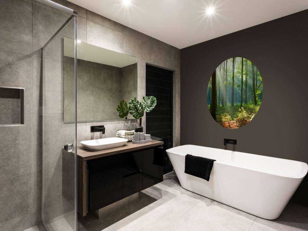 Matin dans la forêt