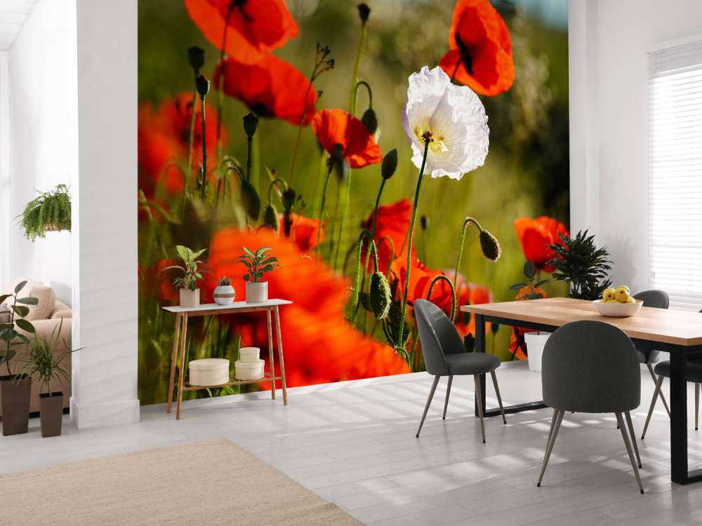 Groupe de coquelicots