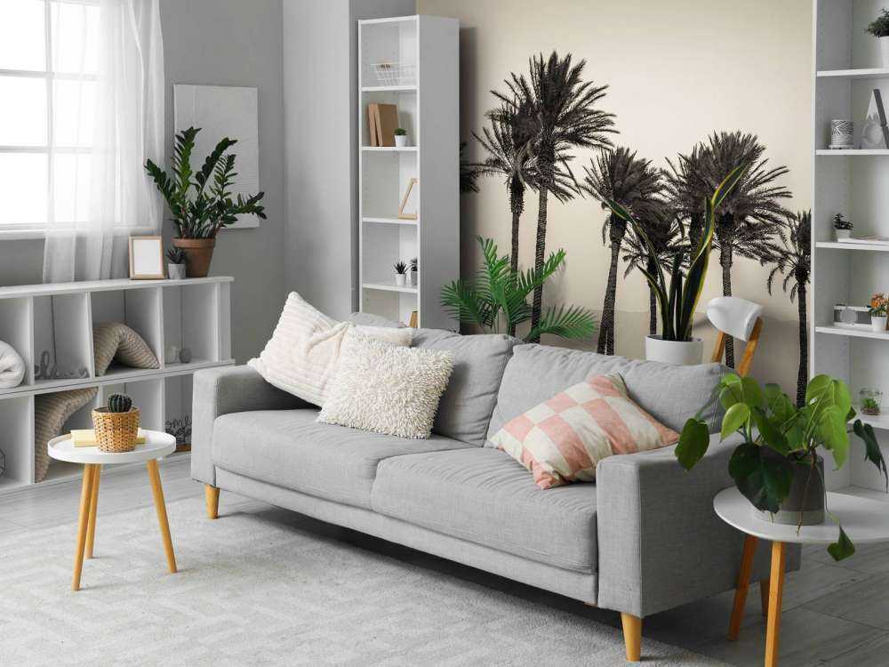 Palmiers noir et blanc