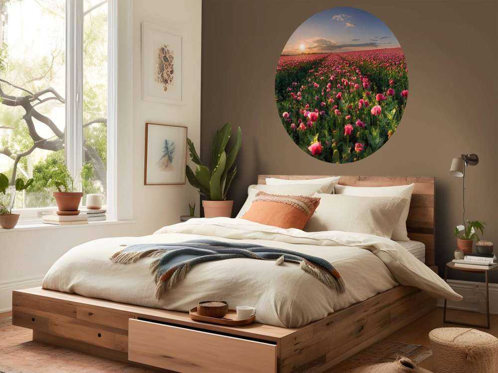 Champ de coquelicots roses