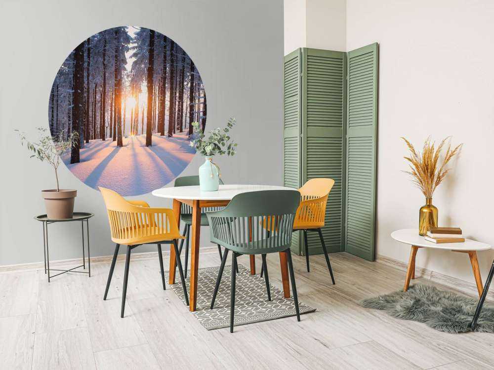 Coucher de soleil dans une forêt d'hiver