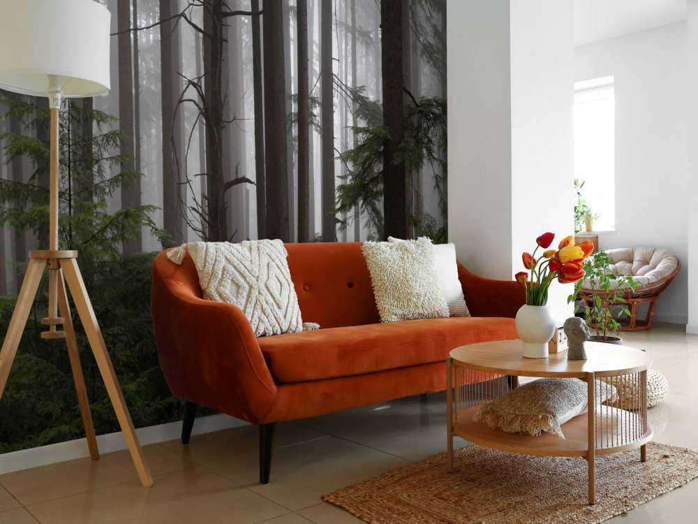 Forêt par temps de brouillard