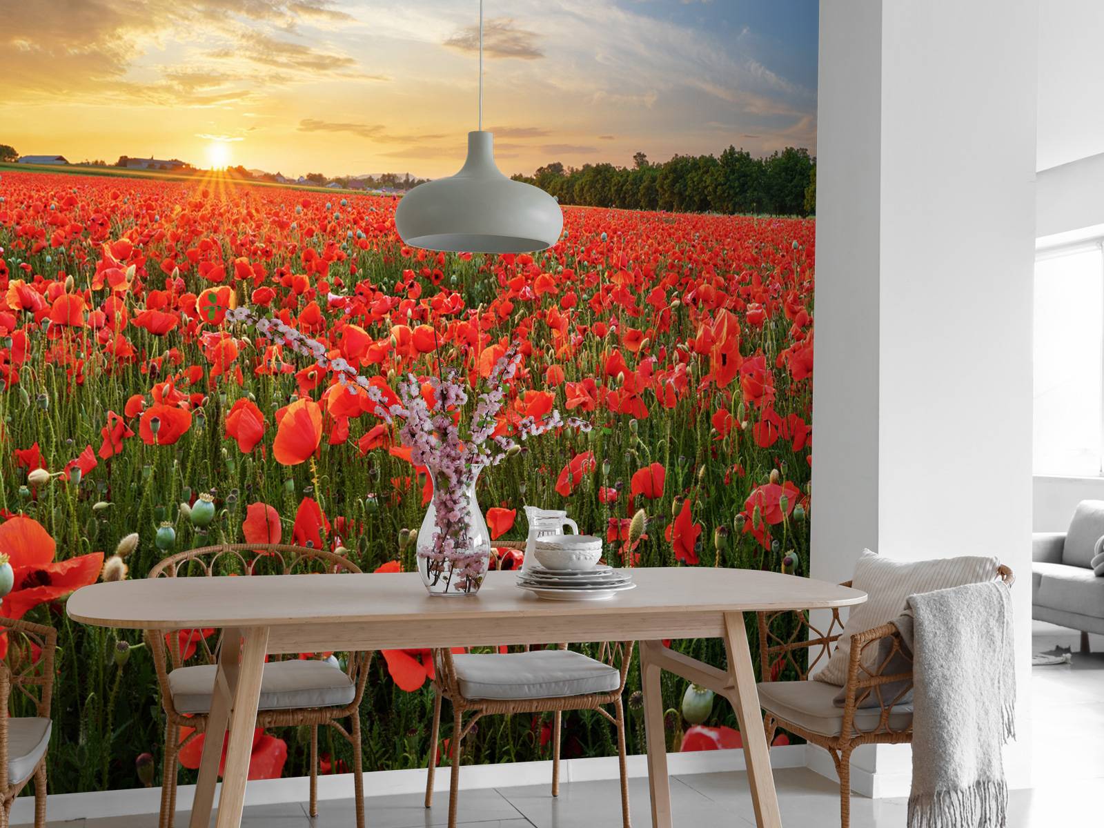 Coucher de soleil avec des coquelicots