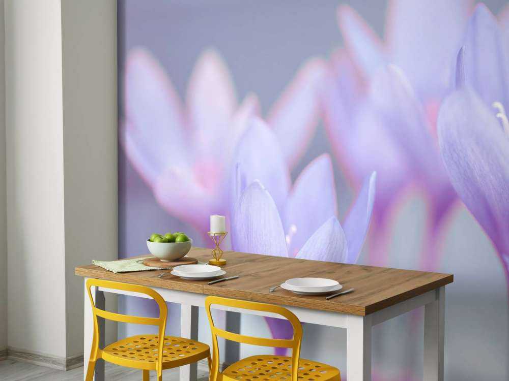 Crocus