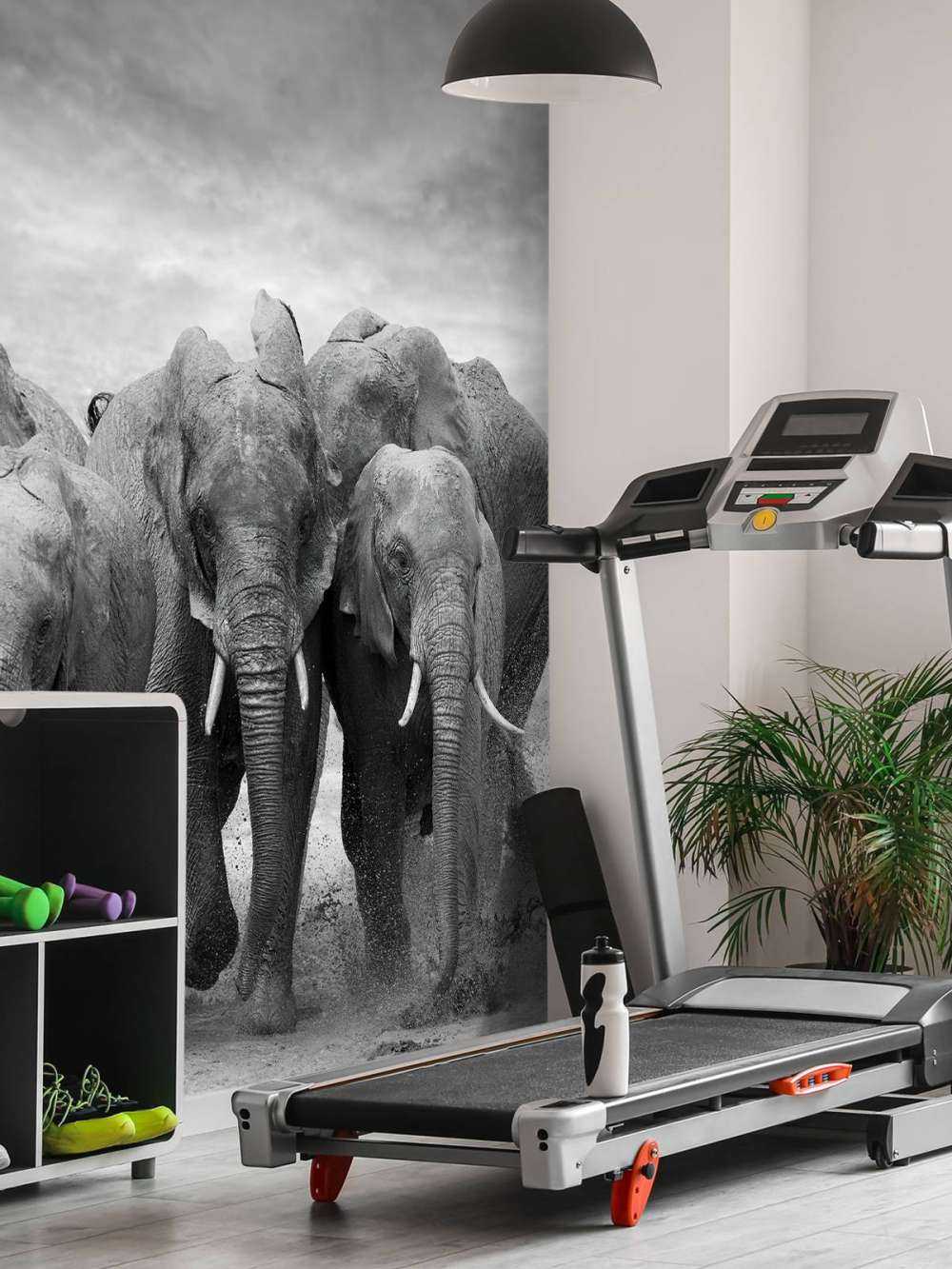 Troupeau d'éléphants