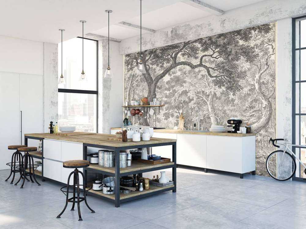 Vue sur la forêt avec deux cerfs