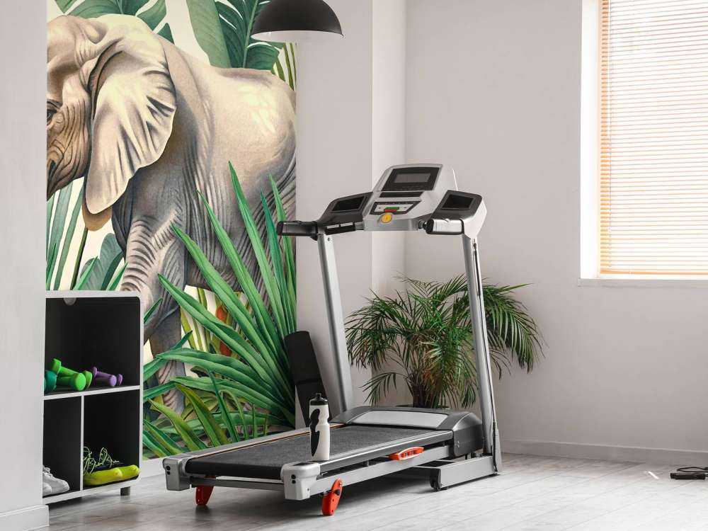 Aventure dans la jungle tropicale des éléphants